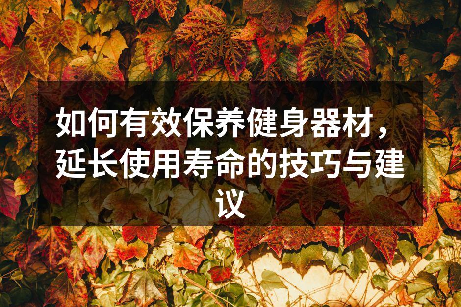 如何有效保养健身器材，延长使用寿命的技巧与建议