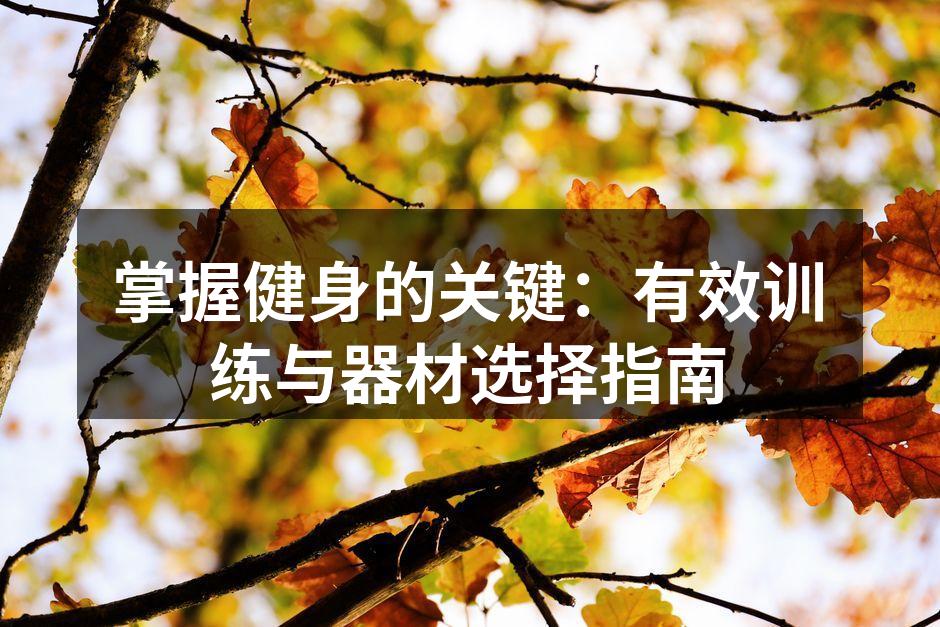 掌握健身的关键：有效训练与器材选择指南
